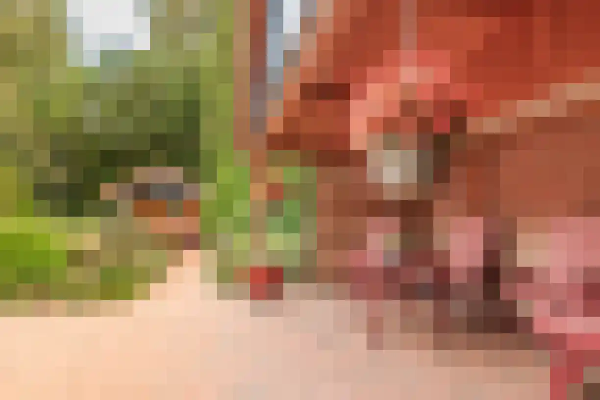 Telgen 32 Wierden thumbnail 36
