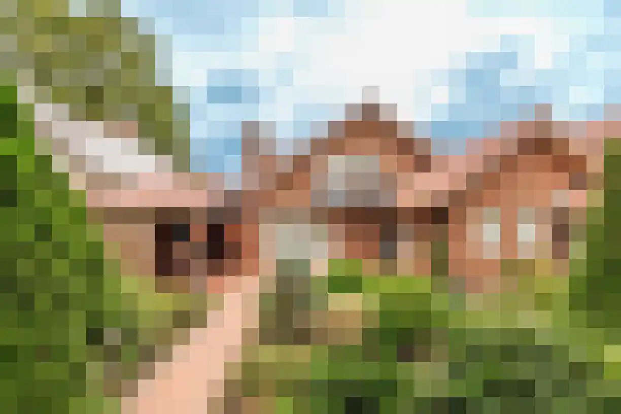 Telgen 32 Wierden thumbnail 37