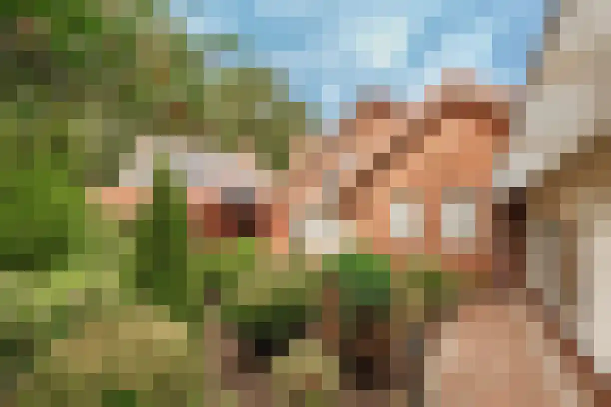 Telgen 32 Wierden thumbnail 39