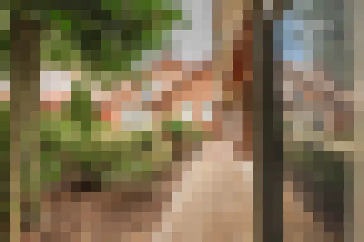Telgen 32 Wierden thumbnail 40