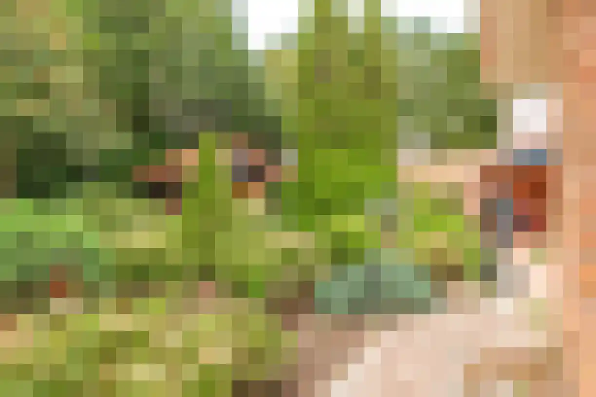 Telgen 32 Wierden thumbnail 41