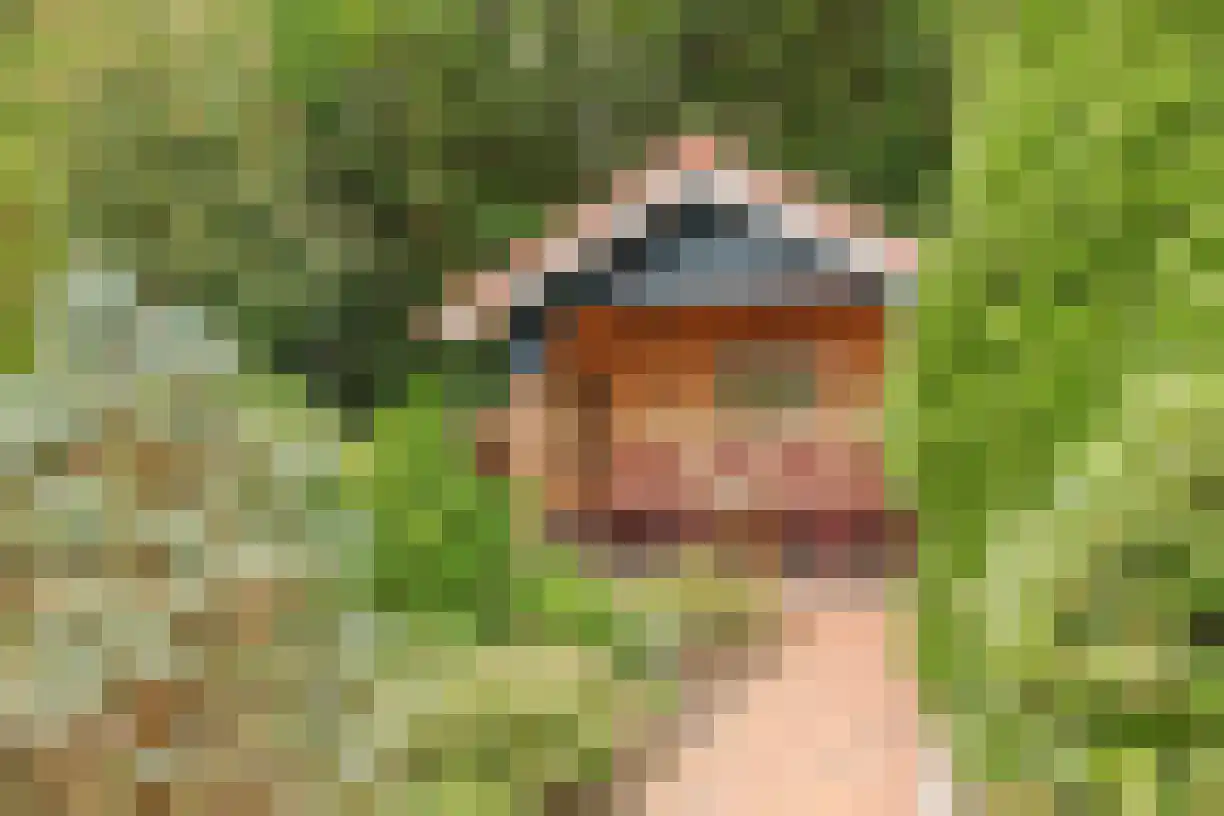 Telgen 32 Wierden thumbnail 42