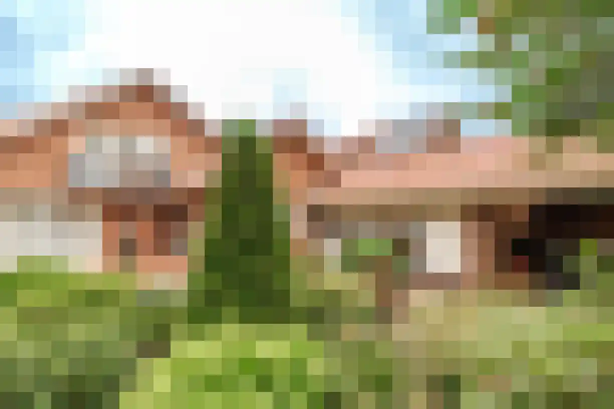 Telgen 32 Wierden thumbnail 43