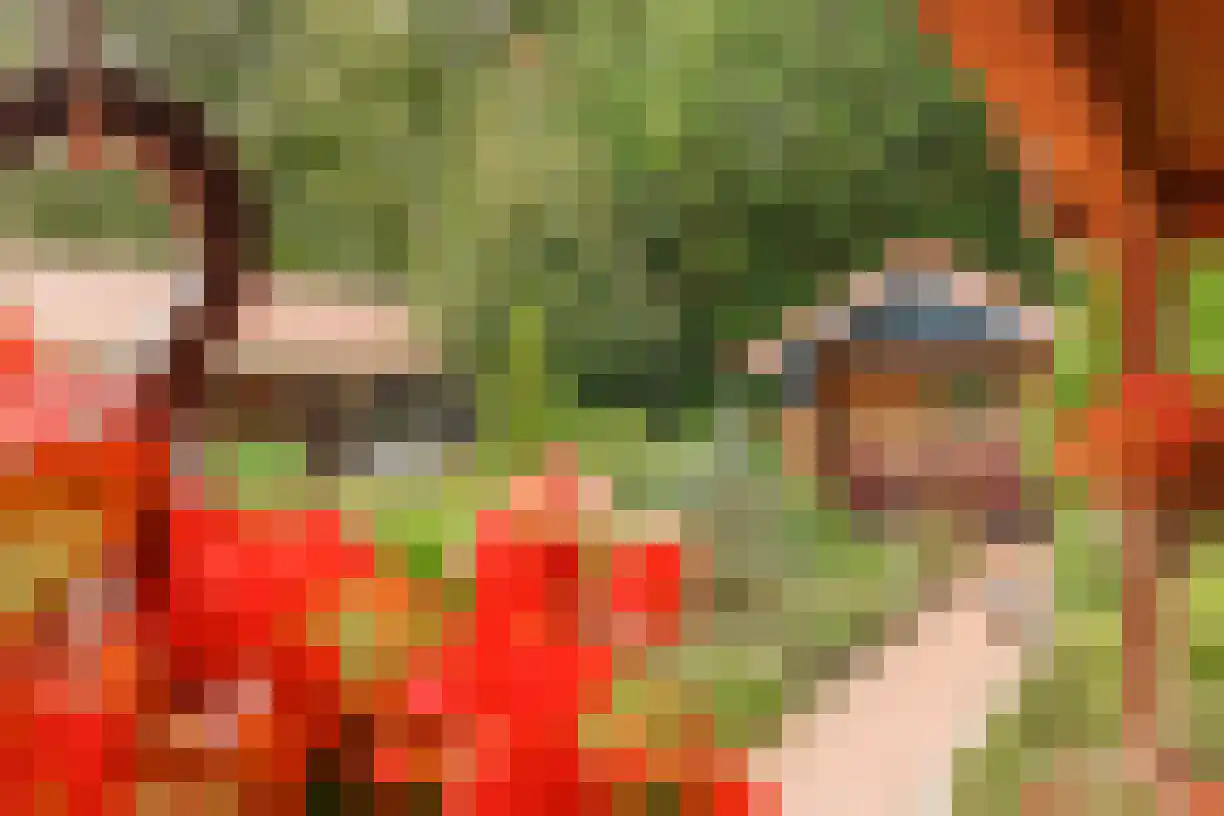 Telgen 32 Wierden thumbnail 44