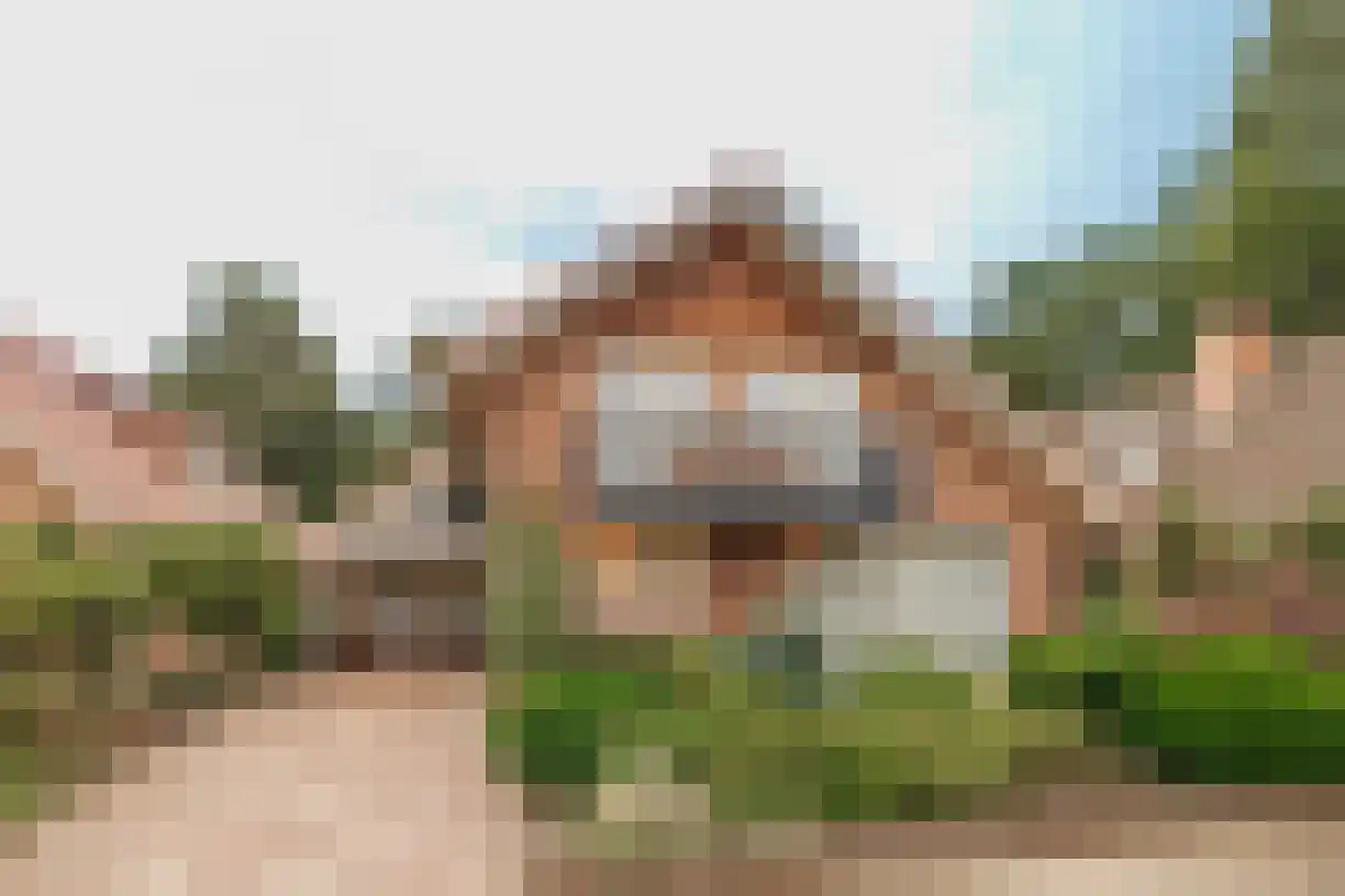 Telgen 32 Wierden thumbnail 46