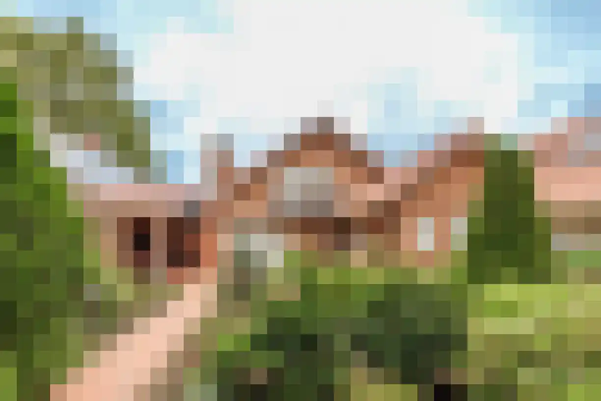 Telgen 32 Wierden thumbnail 5