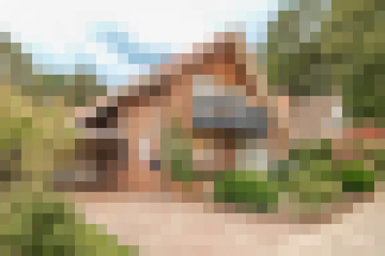 Telgen 32 Wierden thumbnail 6