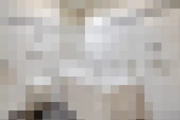 Telgenhöfke 13 Denekamp thumbnail 17