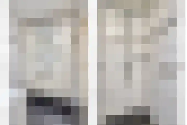 Telgenhöfke 13 Denekamp thumbnail 18