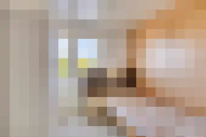 Telgenhöfke 13 Denekamp thumbnail 24