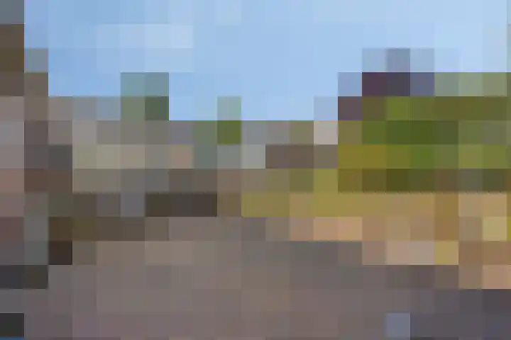 Telgenhöfke 13 Denekamp thumbnail 26