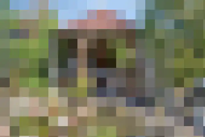 Telgenhöfke 13 Denekamp thumbnail 28