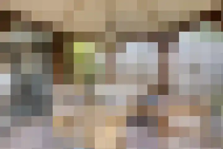 Telgenhöfke 13 Denekamp thumbnail 29