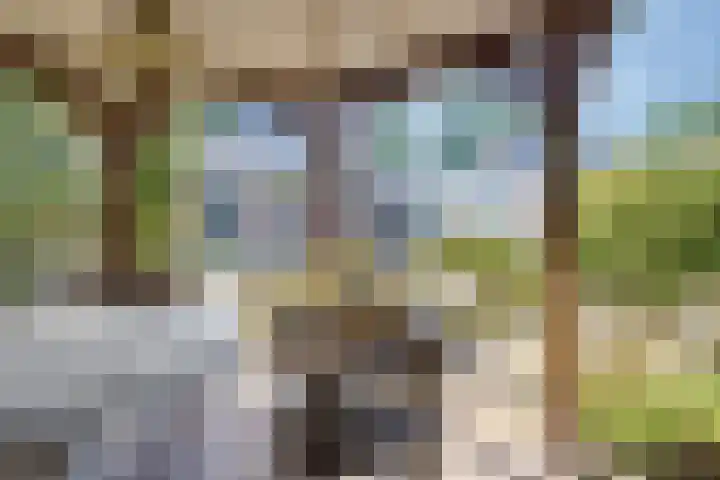 Telgenhöfke 13 Denekamp thumbnail 30