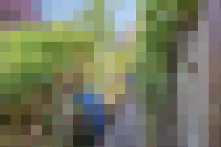 Telgenhöfke 13 Denekamp thumbnail 32