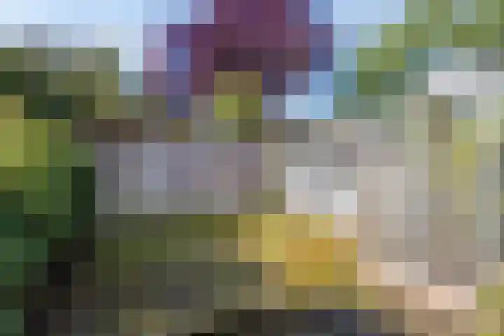 Telgenhöfke 13 Denekamp thumbnail 33