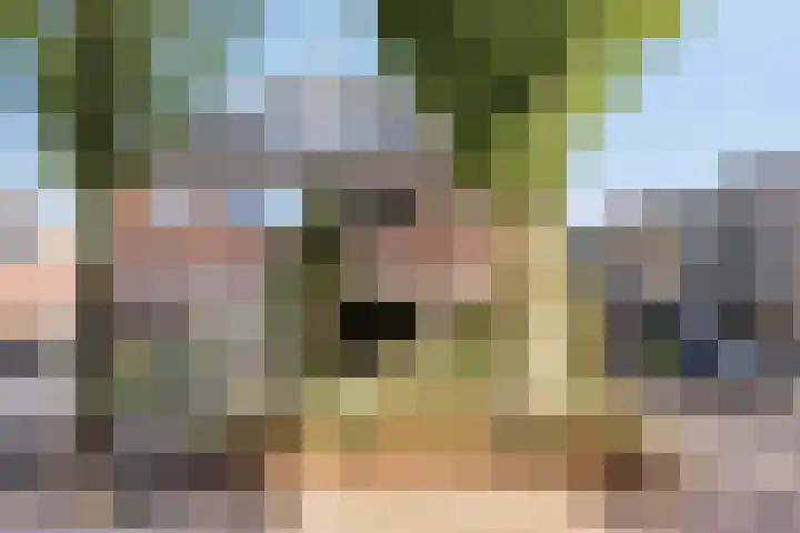 Telgenhöfke 13 Denekamp thumbnail 35