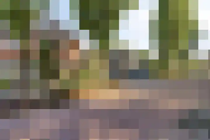 Telgenhöfke 13 Denekamp thumbnail 36