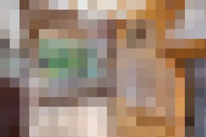 Telgenhöfke 13 Denekamp thumbnail 6