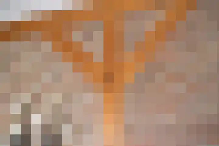 Telgenhöfke 13 Denekamp thumbnail 7