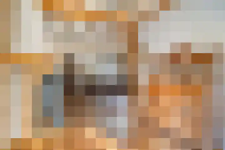 Telgenhöfke 13 Denekamp thumbnail 8