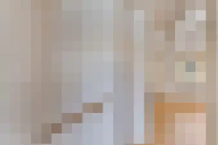Telgenhöfke 14 Denekamp thumbnail 11