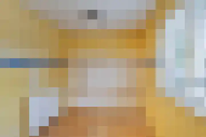 Telgenhöfke 14 Denekamp thumbnail 14