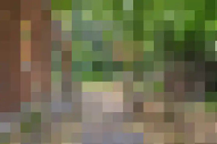 Telgenhöfke 14 Denekamp thumbnail 15