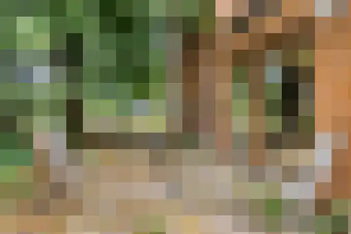 Telgenhöfke 14 Denekamp thumbnail 16