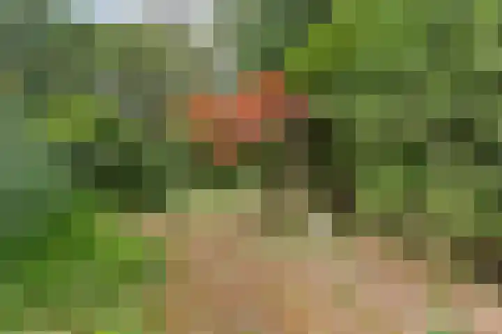 Telgenhöfke 14 Denekamp thumbnail 17