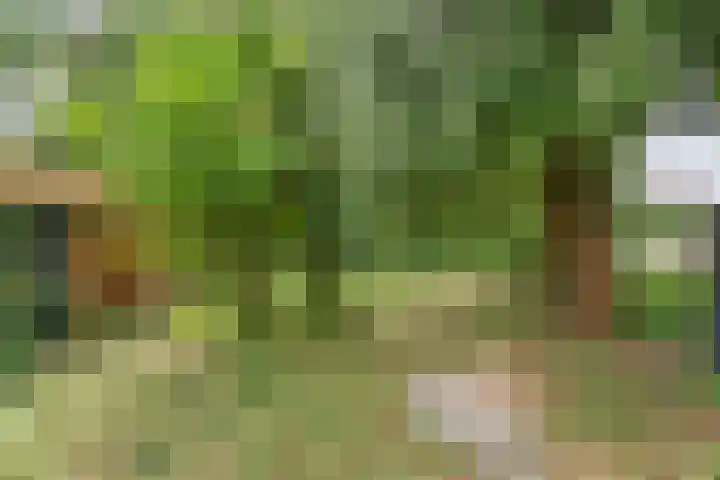 Telgenhöfke 14 Denekamp thumbnail 18