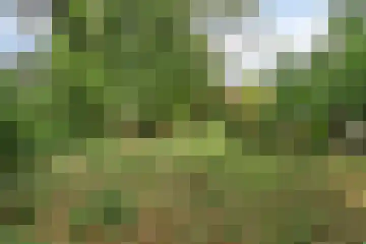 Telgenhöfke 14 Denekamp thumbnail 19