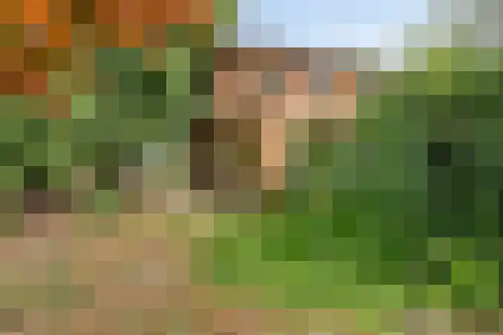 Telgenhöfke 14 Denekamp thumbnail 20