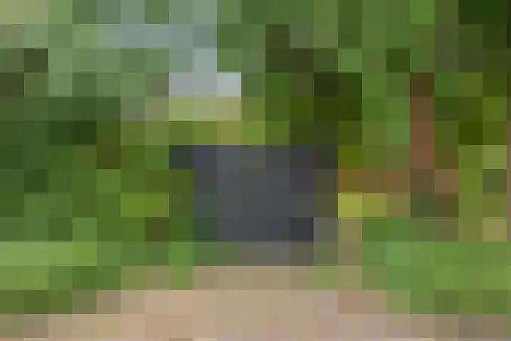 Telgenhöfke 14 Denekamp thumbnail 21