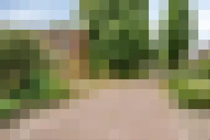 Telgenhöfke 14 Denekamp thumbnail 22