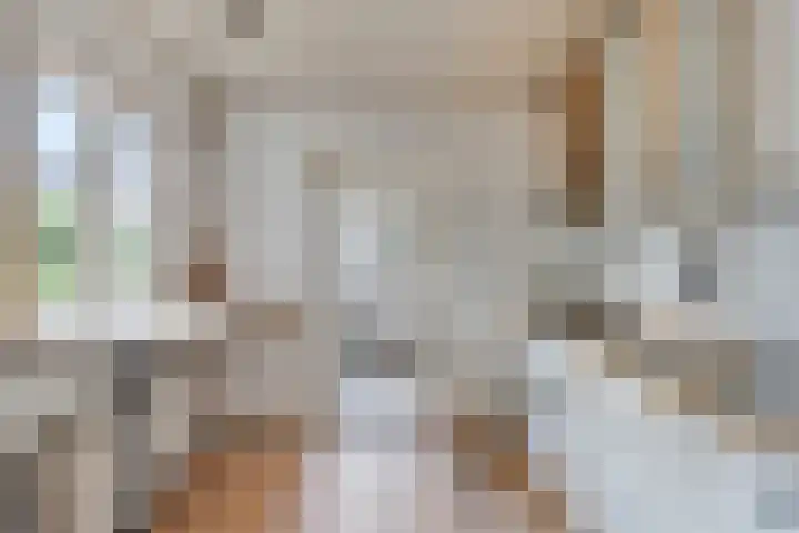 Telgenhöfke 14 Denekamp thumbnail 8