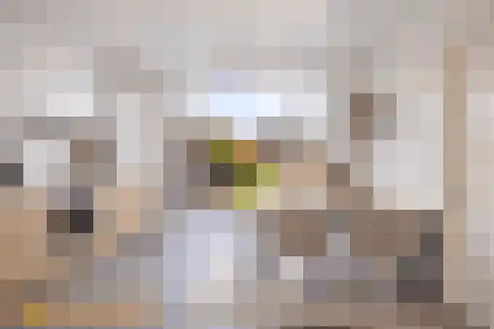 Telgenhöfke 17 Denekamp thumbnail 14