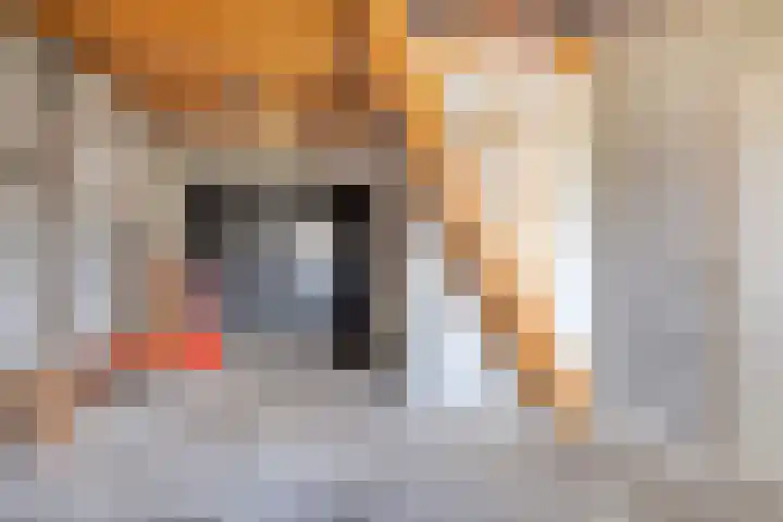 Telgenhöfke 17 Denekamp thumbnail 24