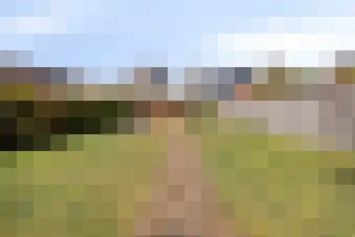 Telgenhöfke 17 Denekamp thumbnail 28