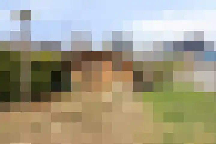 Telgenhöfke 17 Denekamp thumbnail 29
