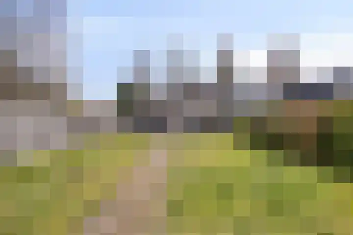 Telgenhöfke 17 Denekamp thumbnail 30
