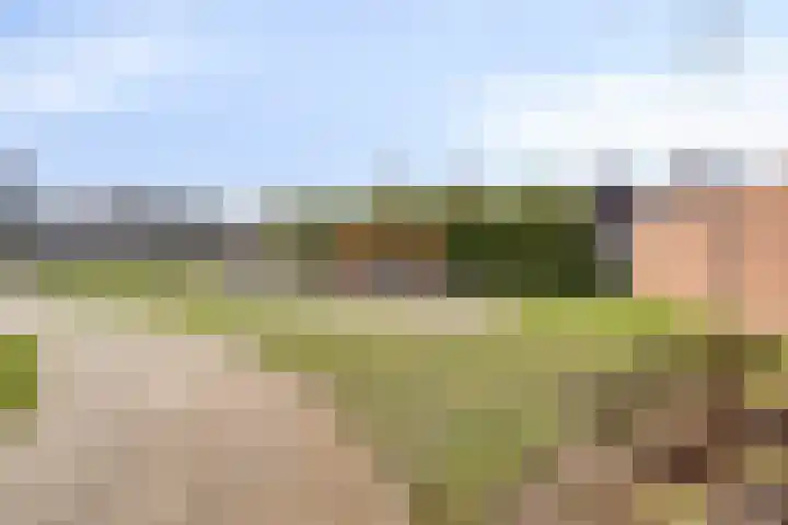 Telgenhöfke 17 Denekamp thumbnail 34