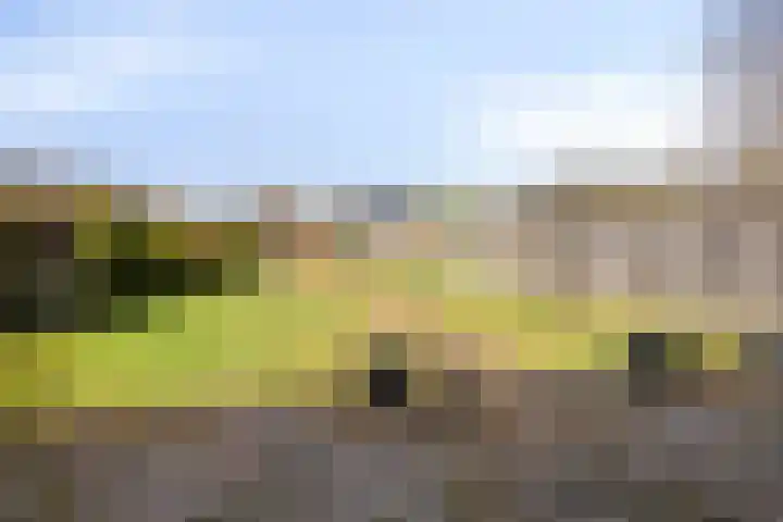 Telgenhöfke 17 Denekamp thumbnail 5