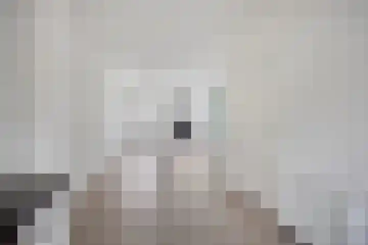 Telgenhöfke 2 A Denekamp thumbnail 10