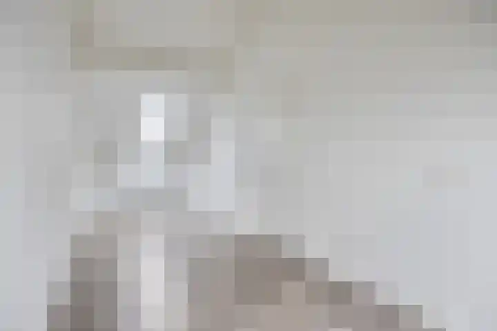 Telgenhöfke 2 A Denekamp thumbnail 19