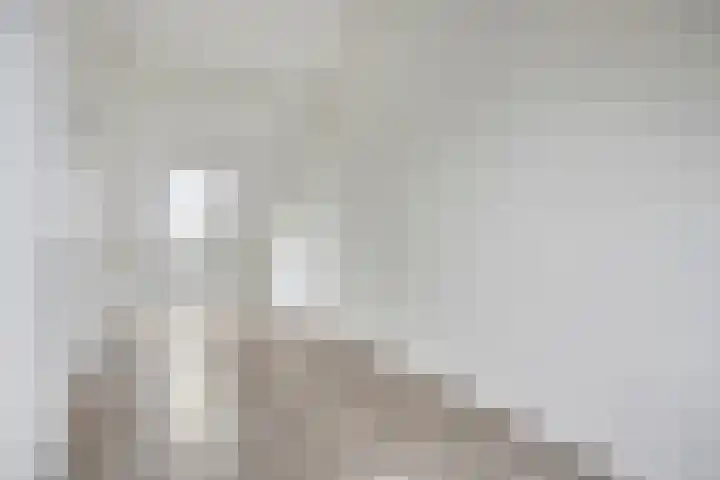 Telgenhöfke 2 A Denekamp thumbnail 20
