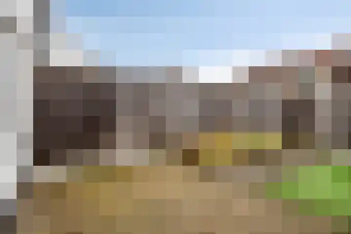 Telgenhöfke 2 A Denekamp thumbnail 21
