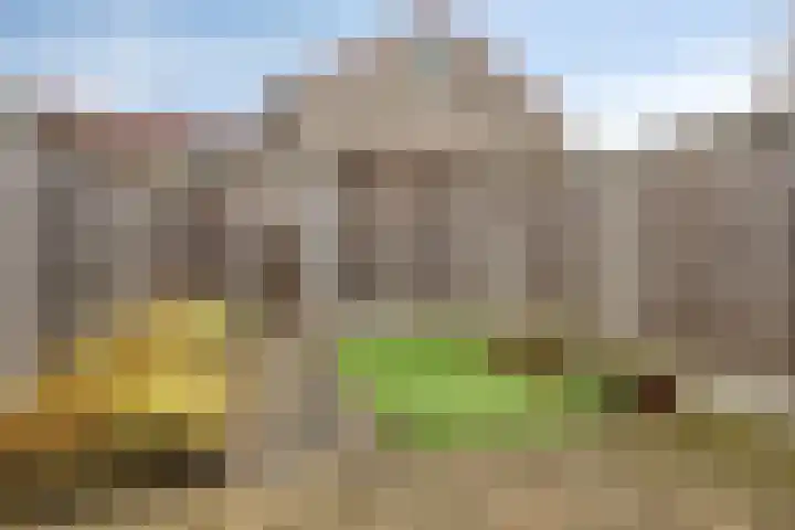 Telgenhöfke 2 A Denekamp thumbnail 22