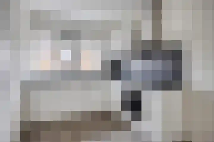 Telgenhöfke 2 A Denekamp thumbnail 8