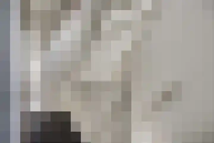 Telgenhöfke 8 A Denekamp thumbnail 11